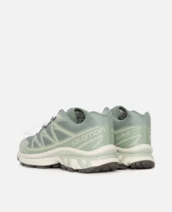 Salomon XT-6 (Laurel Wreath/Lily Pad/Desert) -Outfit Verkoop 471364 3 scaled