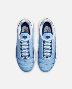 WMNS Nike AIR Max Plus (Maui/Celestine Blue-Diffused Blue) -Outfit Verkoop FJ4736 400 5 scaled
